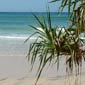 Séjour linguistique en Australie - Brisbane