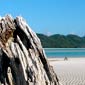 Séjour linguistique en Australie - Gold Coast
