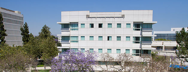 California State University – Fullerton (CSUF) (Los Angeles aux Etats-Unis)