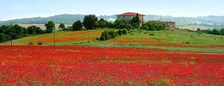 Cours chez le professeur pour un adolescent Toscane