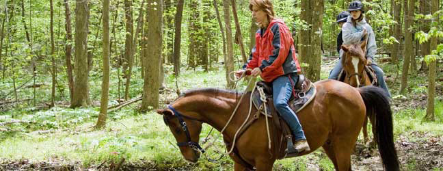 Allemand + Equitation