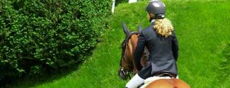 Anglais + Equitation