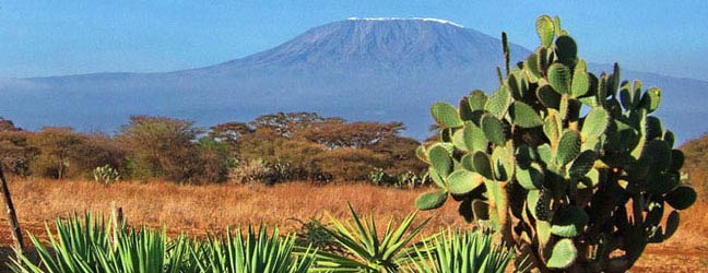 Cours d'Anglais en Afrique du Sud pour un étudiant