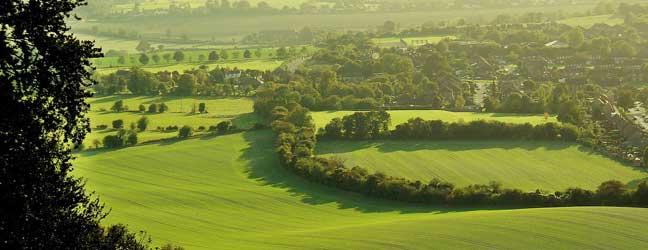 Buckinghamshire - Immersion chez le professeur dans le Buckinghamshire pour un adulte