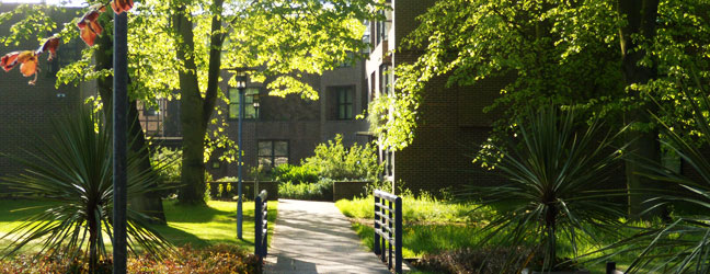 Camp linguistique d’été junior Bucksmore - Fitzwilliam College - Université de Cambridge (Cambridge en Angleterre)