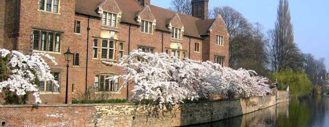 Séjour linguistique à Cambridge (Cambridge en Angleterre)