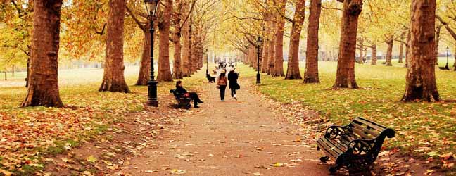 Londres (Région) - Immersion chez le professeur à Londres pour un étudiant
