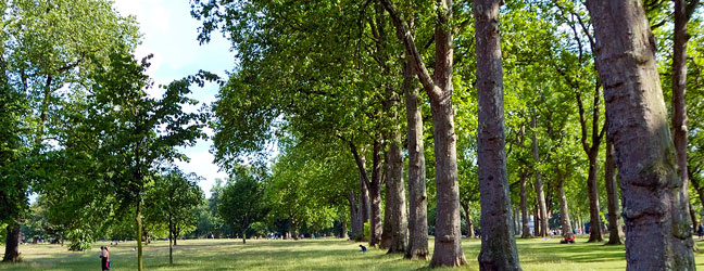 Camp linguistique d’été junior - Whitelands College Richmond (Londres en Angleterre)