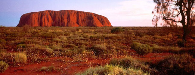 Un semestre intensif à l’étranger en Australie