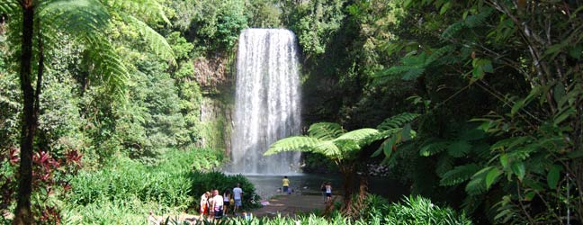 Cairns - Immersion chez le professeur à Cairns pour un étudiant