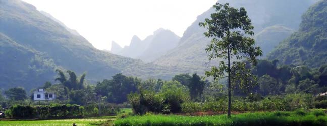 Pékin (Région) - Immersion chez le professeur à Pékin