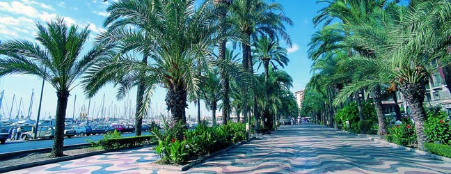 Alicante - Ecoles de langues à Alicante pour un adulte