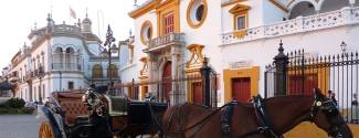 Ecole de langues en Espagne Séville