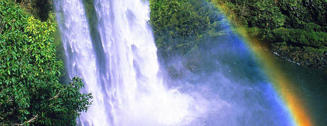 Hawaï - Immersion chez le professeur à Hawaï pour un étudiant