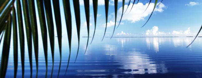 Hawaï - Immersion chez le professeur à Hawaï