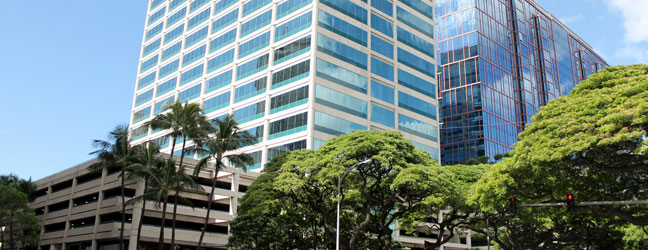 ICC HAWAII pour adulte (Honolulu aux Etats-Unis)