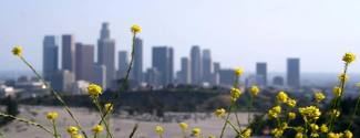 Ecole de langues aux Etats-Unis Los Angeles