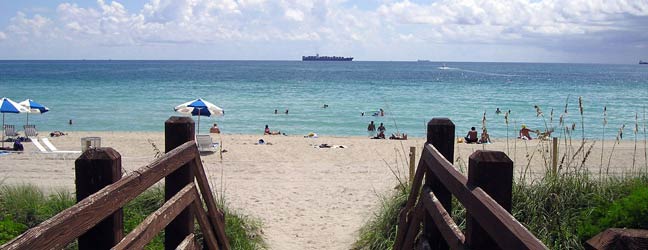 Miami (région) - Immersion chez le professeur à Miami pour un adulte