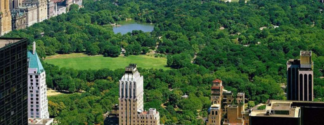 New York (Région) - Immersion chez le professeur à New York pour un adolescent