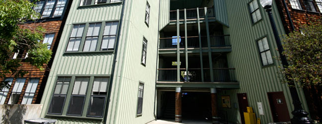 Camp linguistique d’été junior CISL Université de San Francisco Berkeley (San Francisco aux Etats-Unis)