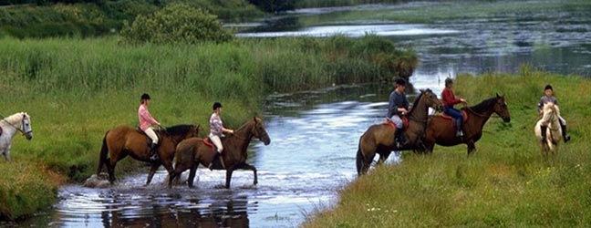 Préparation au TOEIC en Irlande pour adulte