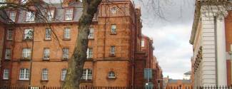Ecoles de langues en Irlande pour un professionnel Dublin