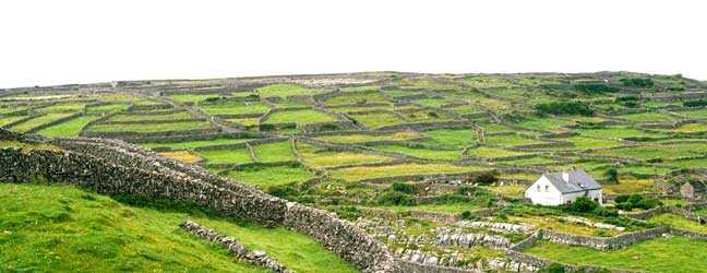 Galway (Région) - Immersion chez le professeur à Galway pour un adulte