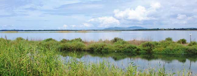 Orbetello - Séjour linguistique à Orbetello pour un senior