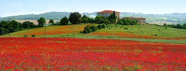 Toscane - Immersion chez le professeur à Toscane pour un lycéen