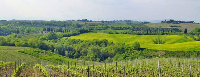 Toscane - Immersion chez le professeur à Toscane