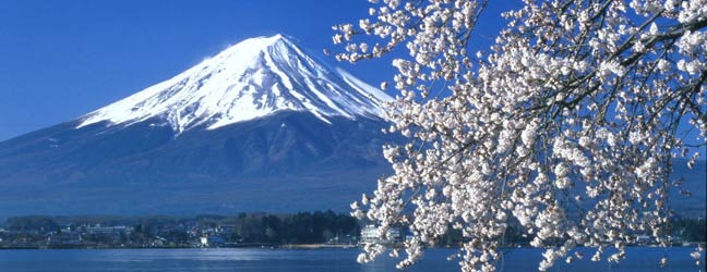 Cours de Japonais au Japon pour un senior