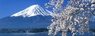 Ecoles de langues pour un étudiant - ISI Japanese Language School - Takadanobaba,Shinjuku