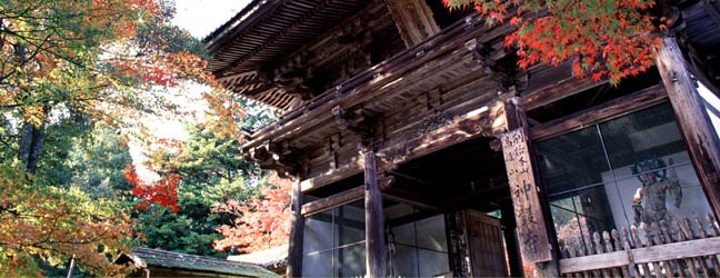 Tokyo (Région) - Immersion chez le professeur à Tokyo pour un étudiant