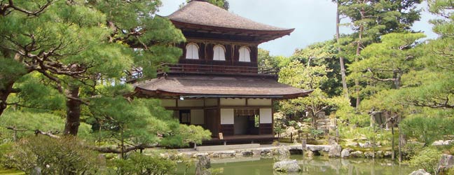 Tokyo (Région) - Immersion chez le professeur à Tokyo pour un senior