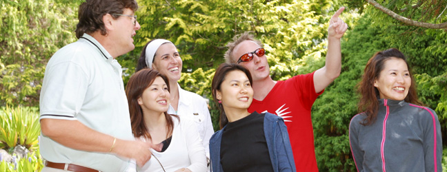 Préparation CAE - Certificate in Advanced English (Auckland en Nouvelle Zélande)
