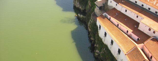 Lisbonne (Région) - Immersion chez le professeur à Lisbonne pour un lycéen