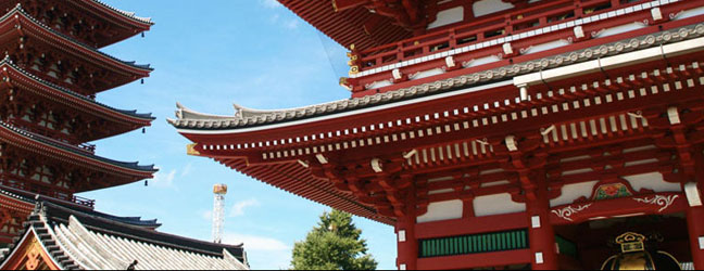 Cours de Japonais à l’étranger pour un adolescent